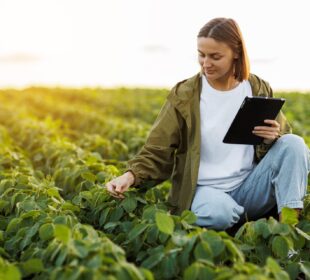 Agronegócio impulsiona exportações e atrai marcas internacionais