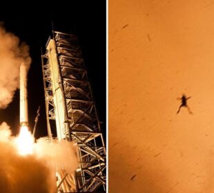 Sapo voa após lançamento de foguete da NASA em imagem viral