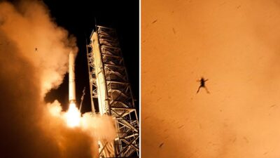 Sapo voa após lançamento de foguete da NASA em imagem viral
