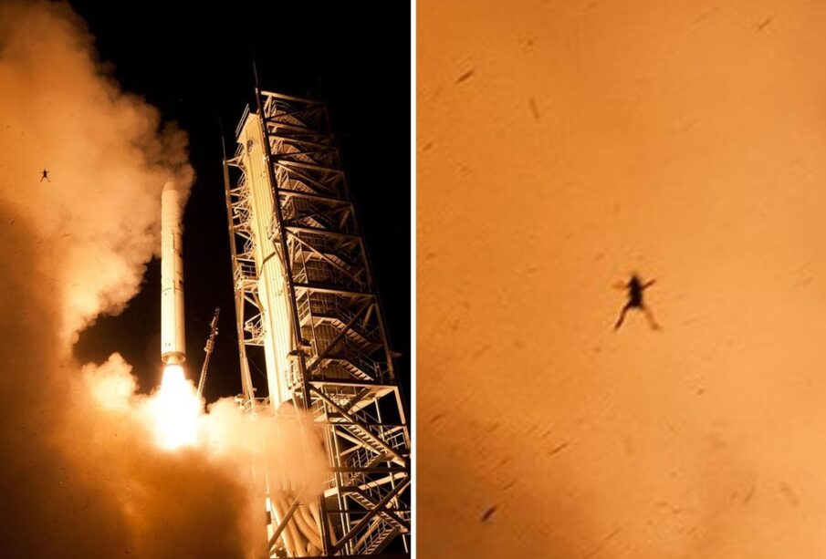 Sapo voa após lançamento de foguete da NASA em imagem viral
