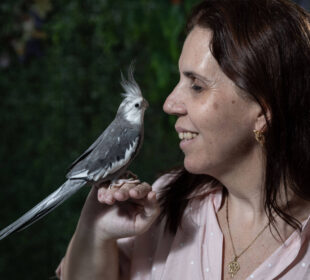 Serviços ultranichados: nova aposta de profissionais