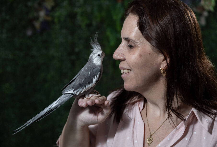 Serviços ultranichados: nova aposta de profissionais