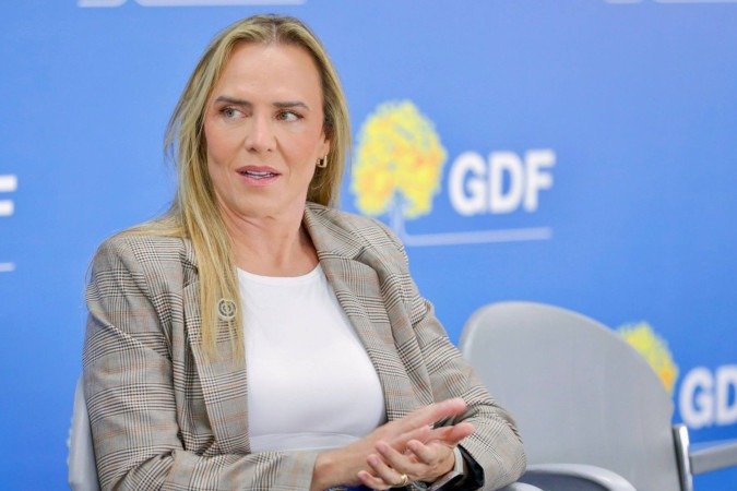 Celina Leão pede audiência urgente com Lula