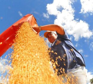 Atividade econômica Brasil cresce 0,6% em fevereiro 2025