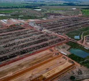 Júnior Friboi compra fazenda Conforto, uma das maiores de confinamento