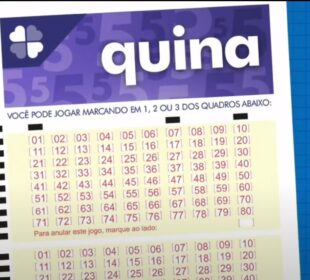 Quina 6993 resultado: prêmio acumula e apostas de MG se destacam