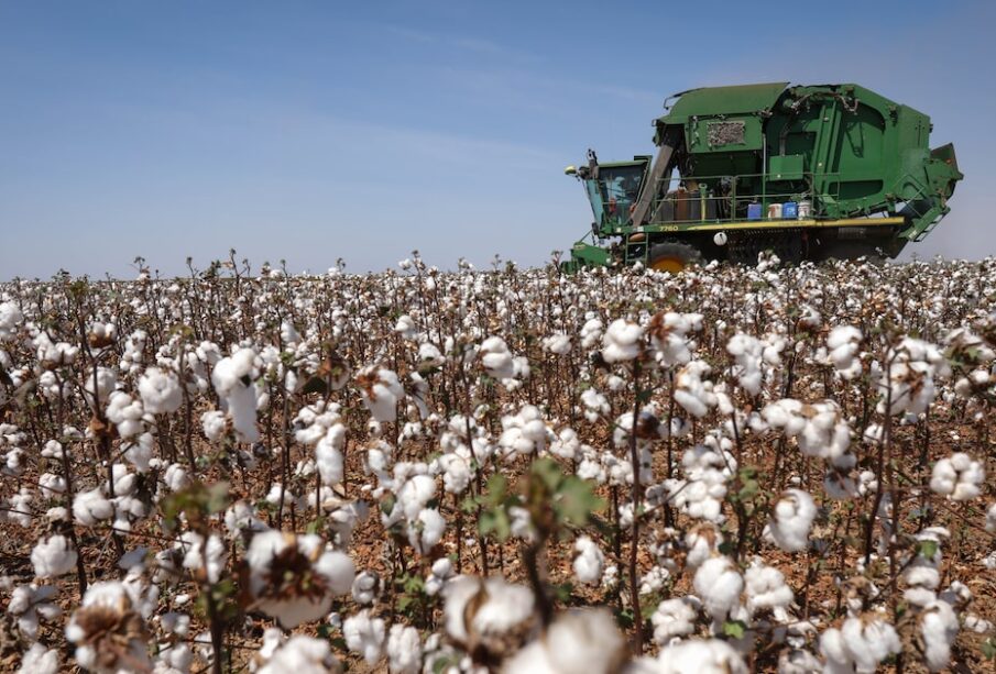 Tempestade perfeita no agro brasileiro: estamos preparados?