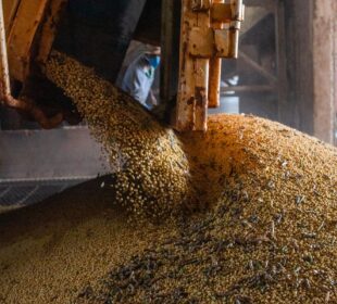 PIB Brasil cresce 1,1% no 1º trimestre de 2026