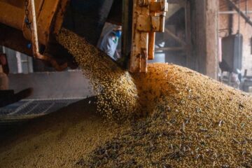 PIB Brasil cresce 1,1% no 1º trimestre de 2026