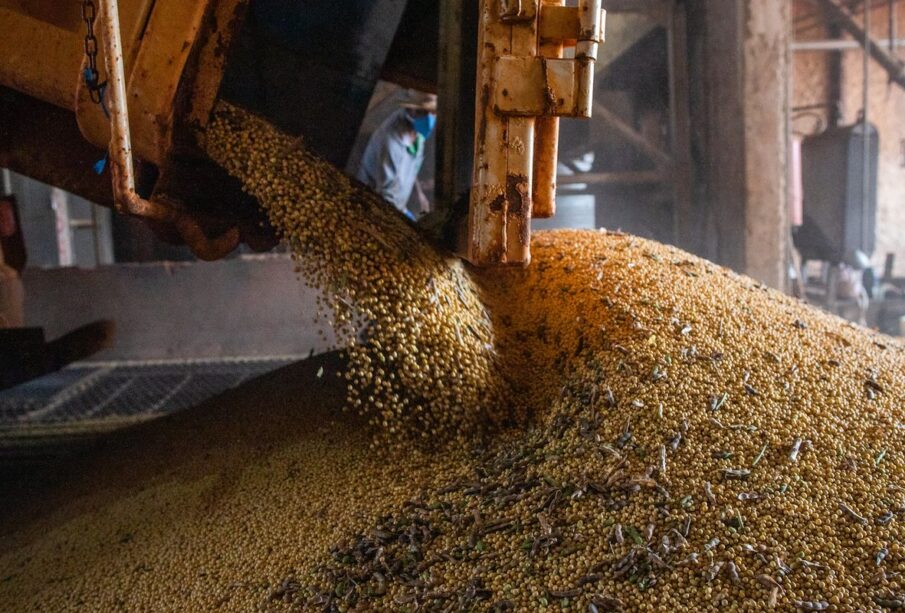 PIB Brasil cresce 1,1% no 1º trimestre de 2026