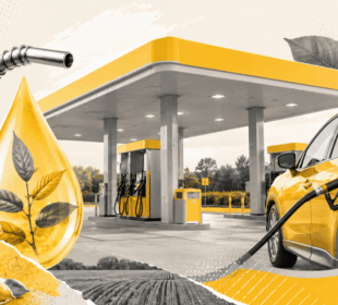 Subvenção à gasolina reduz competitividade do etanol