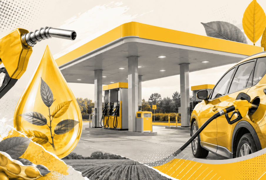 Subvenção à gasolina reduz competitividade do etanol