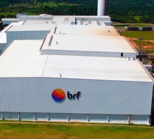Sadia Halal IPO: joint venture de US$ 2,07 bi mira mercado global