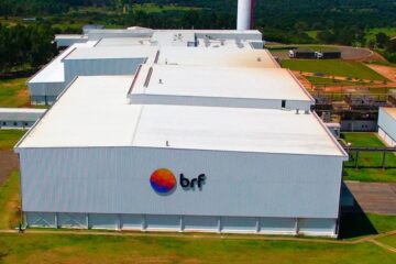 Sadia Halal IPO: joint venture de US$ 2,07 bi mira mercado global