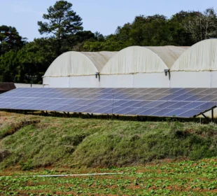 Reciclagem de placas solares: nova oportunidade de negócio