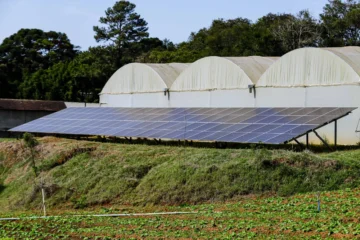Reciclagem de placas solares: nova oportunidade de negócio