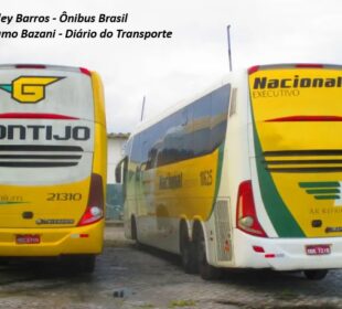 Gontijo ANTT janela ônibus: 124 novos mercados