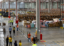 Amazon abre 500 vagas em Salvador para novo centro de distribuição