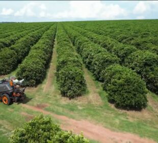 Agronegócio empregos recorde: 28 milhões de vagas em 2025
