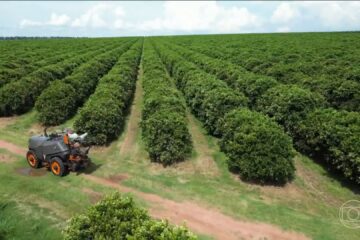 Agronegócio empregos recorde: 28 milhões de vagas em 2025