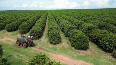 Agronegócio empregos recorde: 28 milhões de vagas em 2025