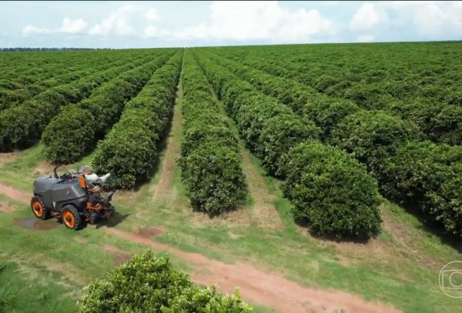 Agronegócio empregos recorde: 28 milhões de vagas em 2025