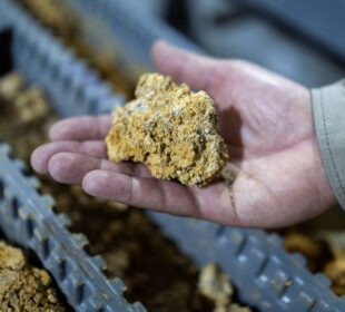 Refino local de minerais críticos: aposta da UE no Brasil