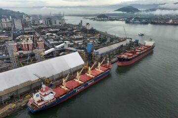 Tarifaço amplia pessimismo na Bolsa brasileira: oportunidade?