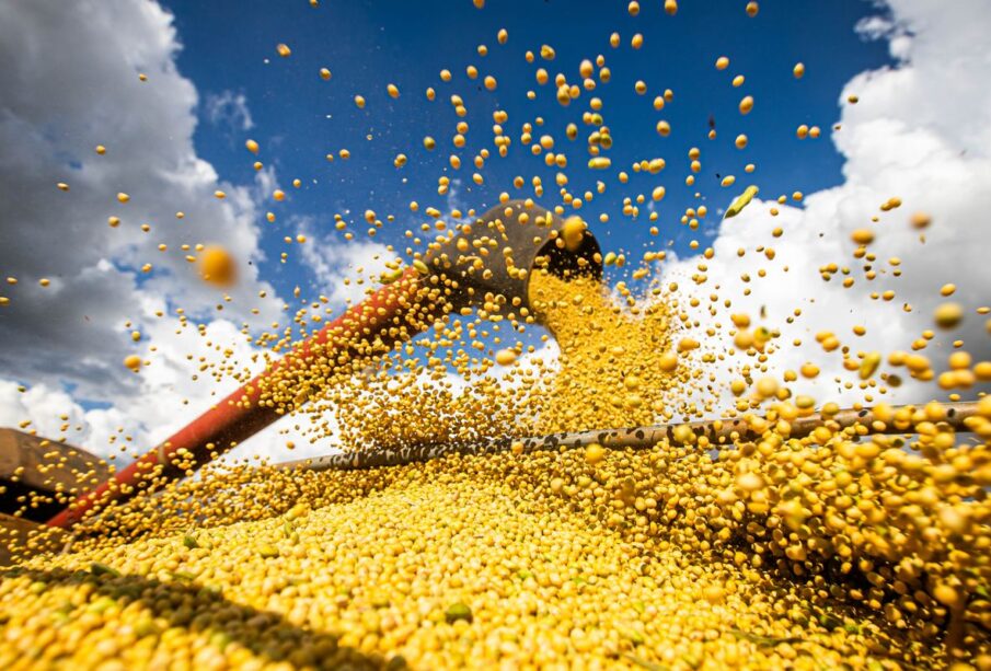 Produção de grãos Conab 2025/26 pode chegar a 358,6 milhões de toneladas