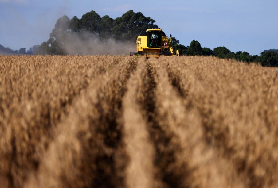 XP aponta 5 ações agro da Bolsa afetadas pelo El Niño