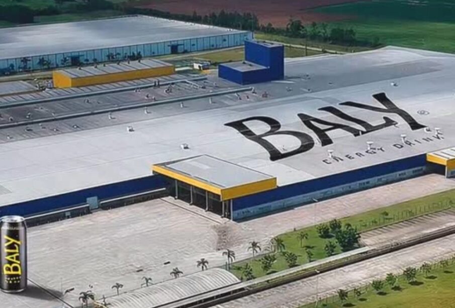 Baly Brasil crescimento: empresa de SC cresce 10x mais que rivais