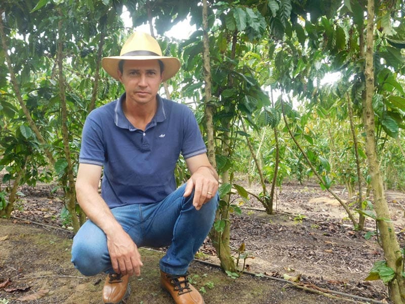 Quebra de safra conilon e preço baixo preocupam cafeicultores