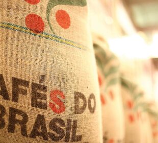 Café alta hoje: preços disparam com colheita e chuvas