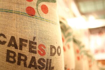 Café alta hoje: preços disparam com colheita e chuvas