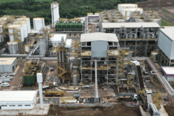 Reestruturação Raizen: executivo comandará divisão em duas empresas