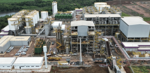 Reestruturação Raizen: executivo comandará divisão em duas empresas