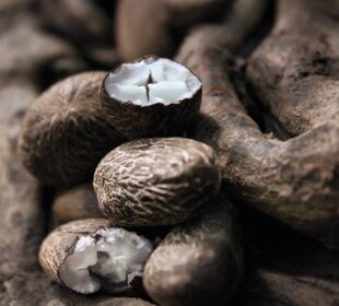 Natura Ingredientes startup vende insumos da Amazônia
