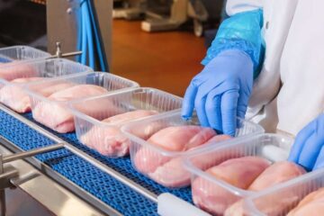 Risco de faltar frango e ovos no RS? Veja o que diz setor