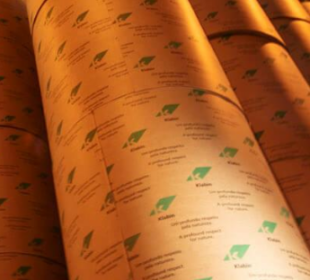 Papel e celulose: 2T26 mais forte, mas sem brilho, diz Safra