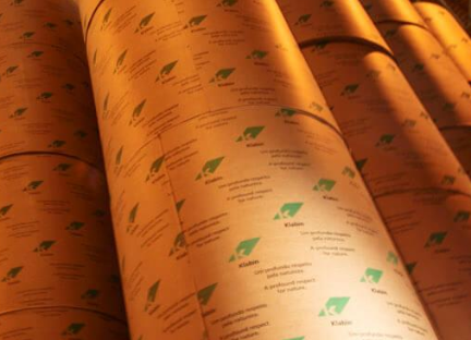 Papel e celulose: 2T26 mais forte, mas sem brilho, diz Safra