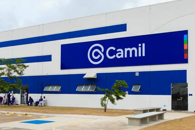 CAML3 resultado: ação cai 18% após trimestre fraco