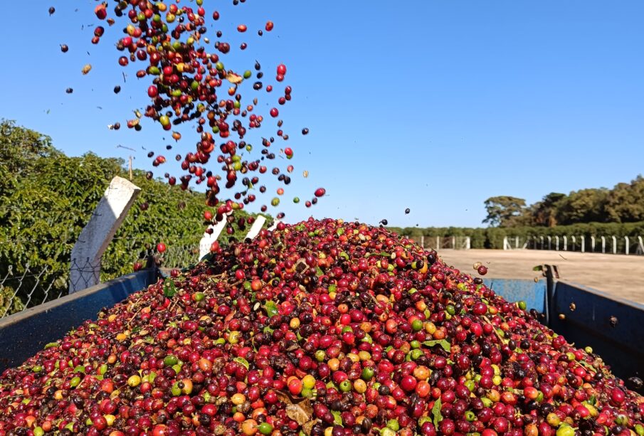 Café abre em alta nas bolsas nesta quarta-feira