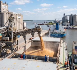 USDA confirma venda de 472 mil t de soja à China