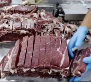Brasil atinge cota de exportação de carne bovina para China