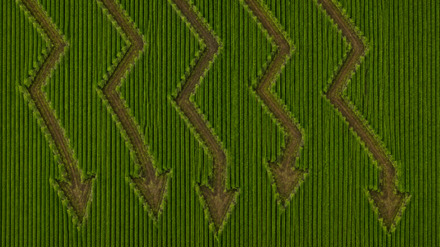 Preço da terra está barato demais, dizem gestores