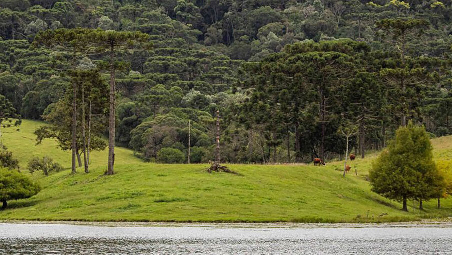 ITR 2026: começa prazo e região espera 30 mil declarações