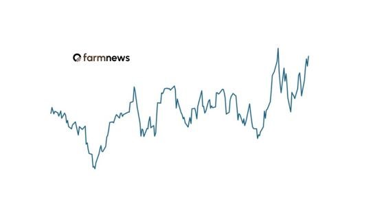 Preço do boi gordo para outubro se aproxima da máxima