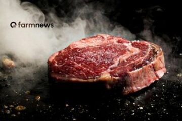 Preço da carne bovina sobe no atacado e recua no varejo