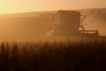 Crise diesel Brasil ameaça safra recorde de soja