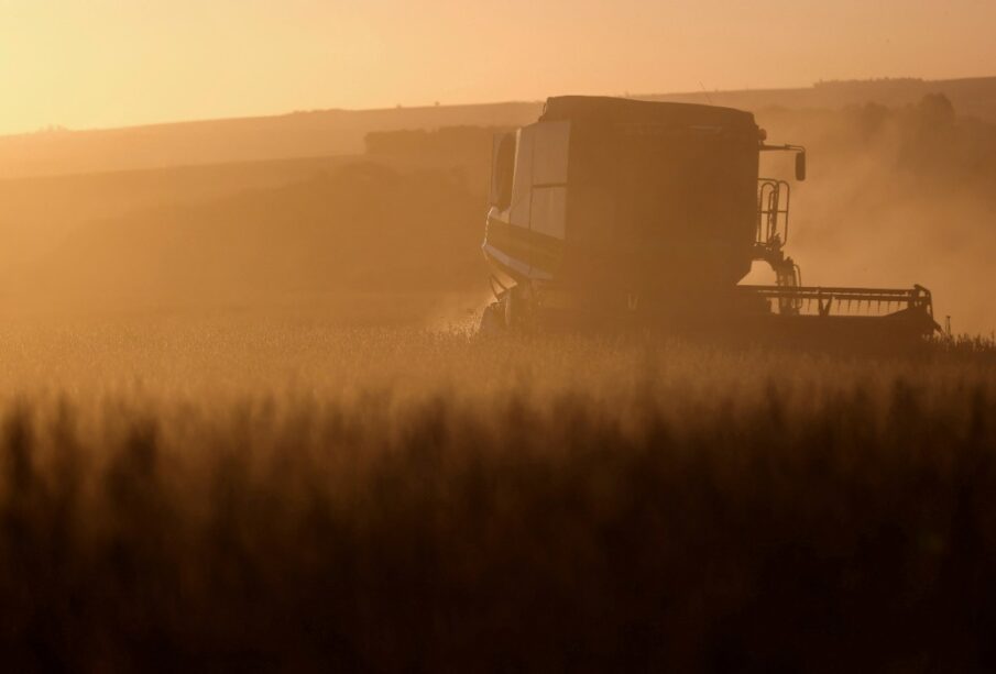 Crise diesel Brasil ameaça safra recorde de soja